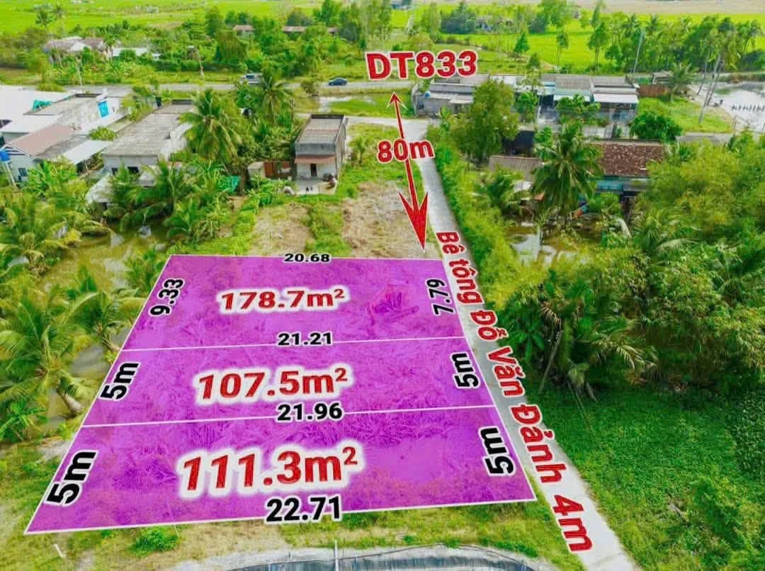Bán đất thổ cư mặt tiền Đỗ Văn Đảnh 397,5m² Bình Chánh - Ảnh thu nhỏ 3