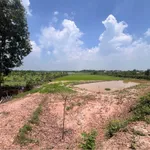 Bán đất vườn 3363m2 Phường Gò Dầu Tây Ninh - Ảnh thu nhỏ 1