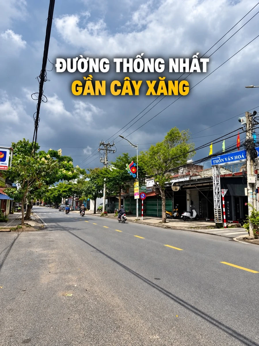 Bán đất Đức Trọng 250m² gần trường học 1 tỷ 7 - Ảnh thu nhỏ 3