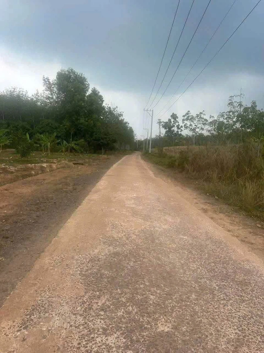 Bán đất Tân Lợi Bình Tân 3000m² mặt tiền 40m - 3,5 tỷ - Ảnh thu nhỏ 2