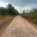 Bán đất Tân Lợi Bình Tân 3000m² mặt tiền 40m - 3,5 tỷ - Ảnh thu nhỏ 2