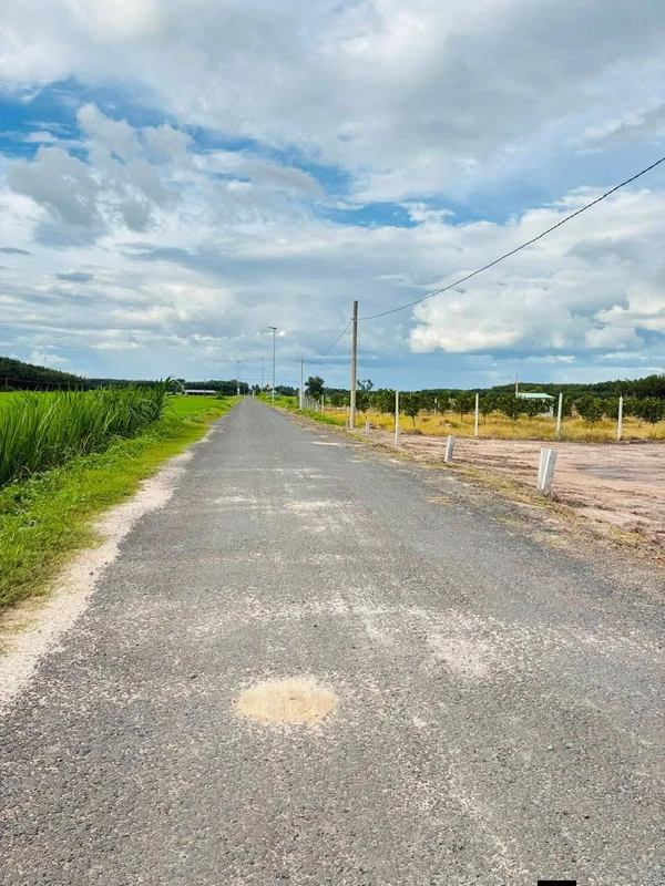 Bán đất thổ cư 300m² mặt tiền 20m Tây Ninh 319 triệu