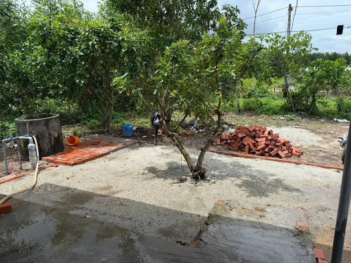 Bán nhà đất Long Thọ 280m² sổ đỏ 700 triệu - Ảnh thu nhỏ 3