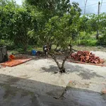 Bán nhà đất Long Thọ 280m² sổ đỏ 700 triệu - Ảnh thu nhỏ 3