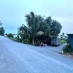 Bán đất tổ hợp vườn 1.907m² sát ĐT 818 Thủ Thừa Long An - Ảnh thu nhỏ 3