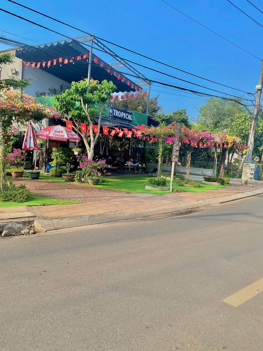 Bán đất Phường Long Khánh, 95m² giá 890 triệu - Ảnh thu nhỏ 2