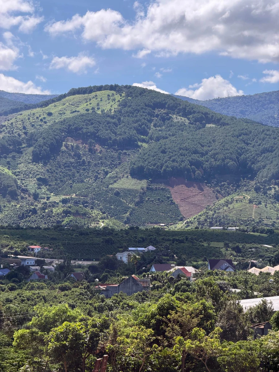 Bán nền đất biệt thự view thung lũng 350m2 ngoại ô Đà Lạt giá 1 tỷ 550 triệu - Ảnh thu nhỏ 3