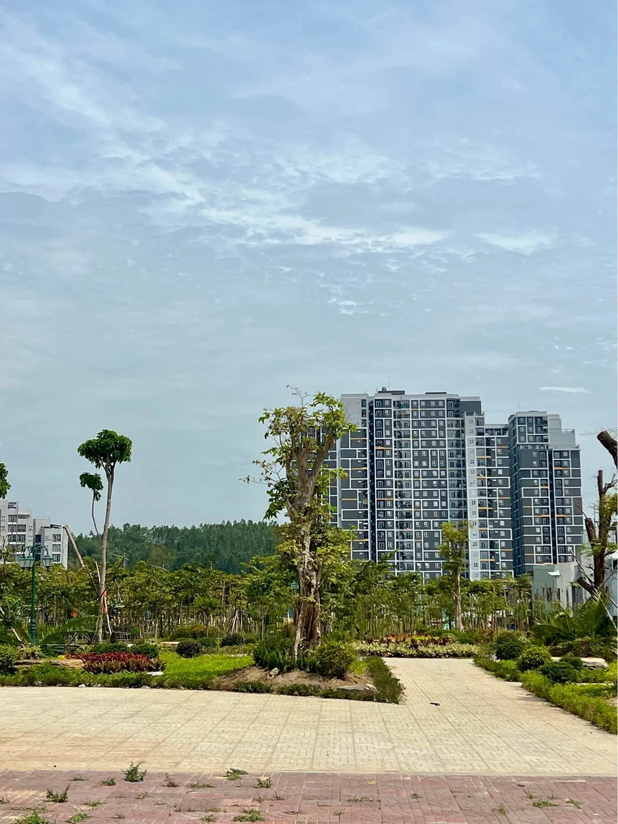Bán đất Quy Nhơn 500m² giá 3,799 tỷ gần chung cư Lamer - Ảnh thu nhỏ 4