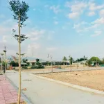 Đất gần Biển Ninh Chữ đấu giá nhà nước - Cơ hội đầu tư đất biển giá rẻ - Ngân hàng hỗ trợ vay - Ảnh thu nhỏ 10