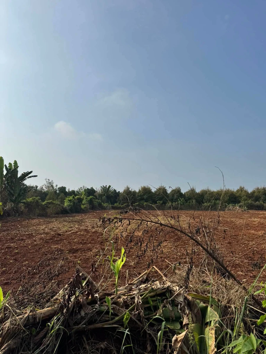 Bán đất Hóc Môn 3000m2, giá 4,6 tỷ - Ảnh 1
