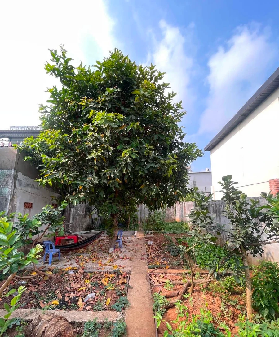 Bán đất phân lô thổ cư 208m2 Ngô Chí Quốc Thủ Đức 4.6 tỷ - Ảnh 1