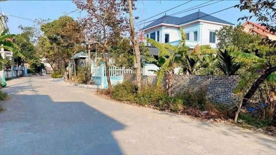 Bán đất 81.5m2 tại thôn An Cư 2, Trường Tân, Hải Phòng - 1 tỷ 2 - Ảnh thu nhỏ 2