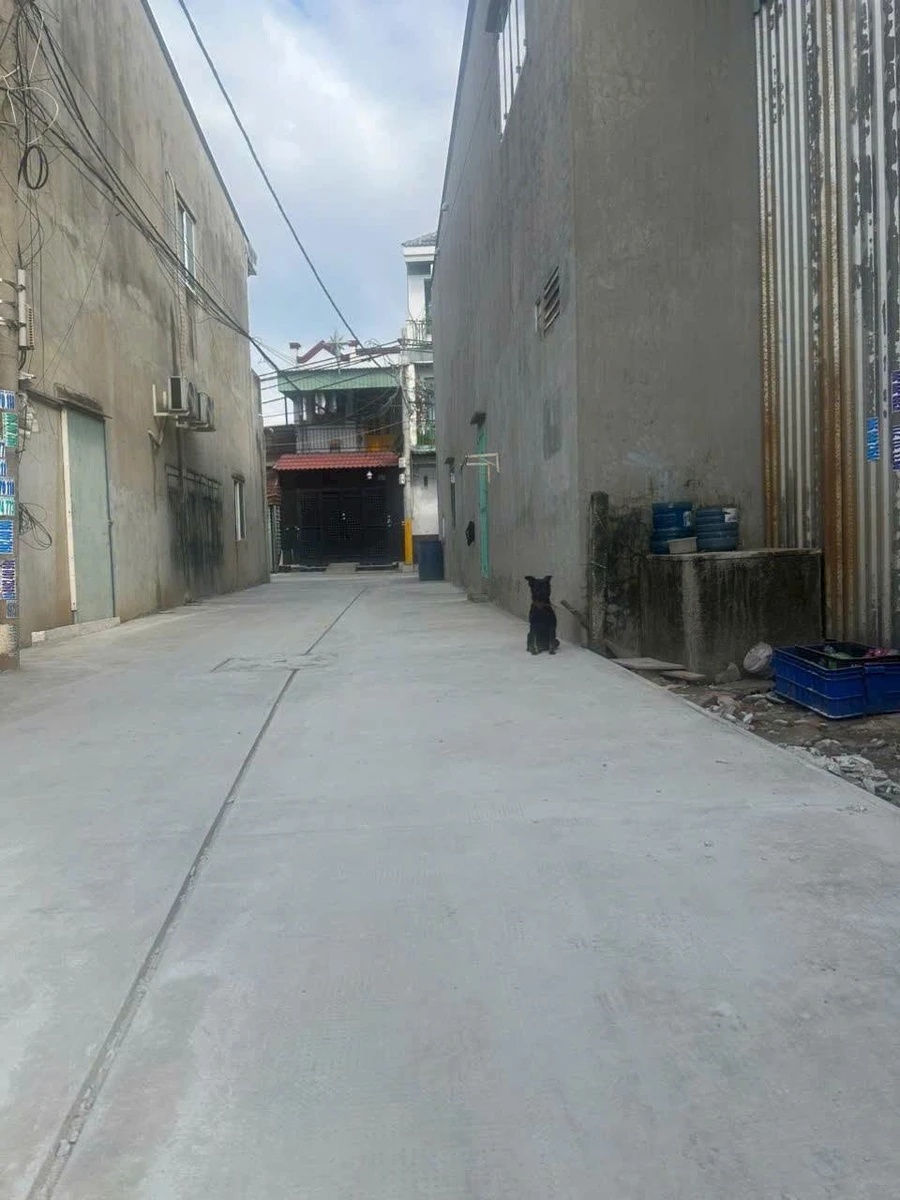 Bán nhà xưởng cấp 4 8x15m Lê Thị Ngay, Vĩnh Lộc A, Bình Chánh giá 2,3 tỷ - Ảnh 1