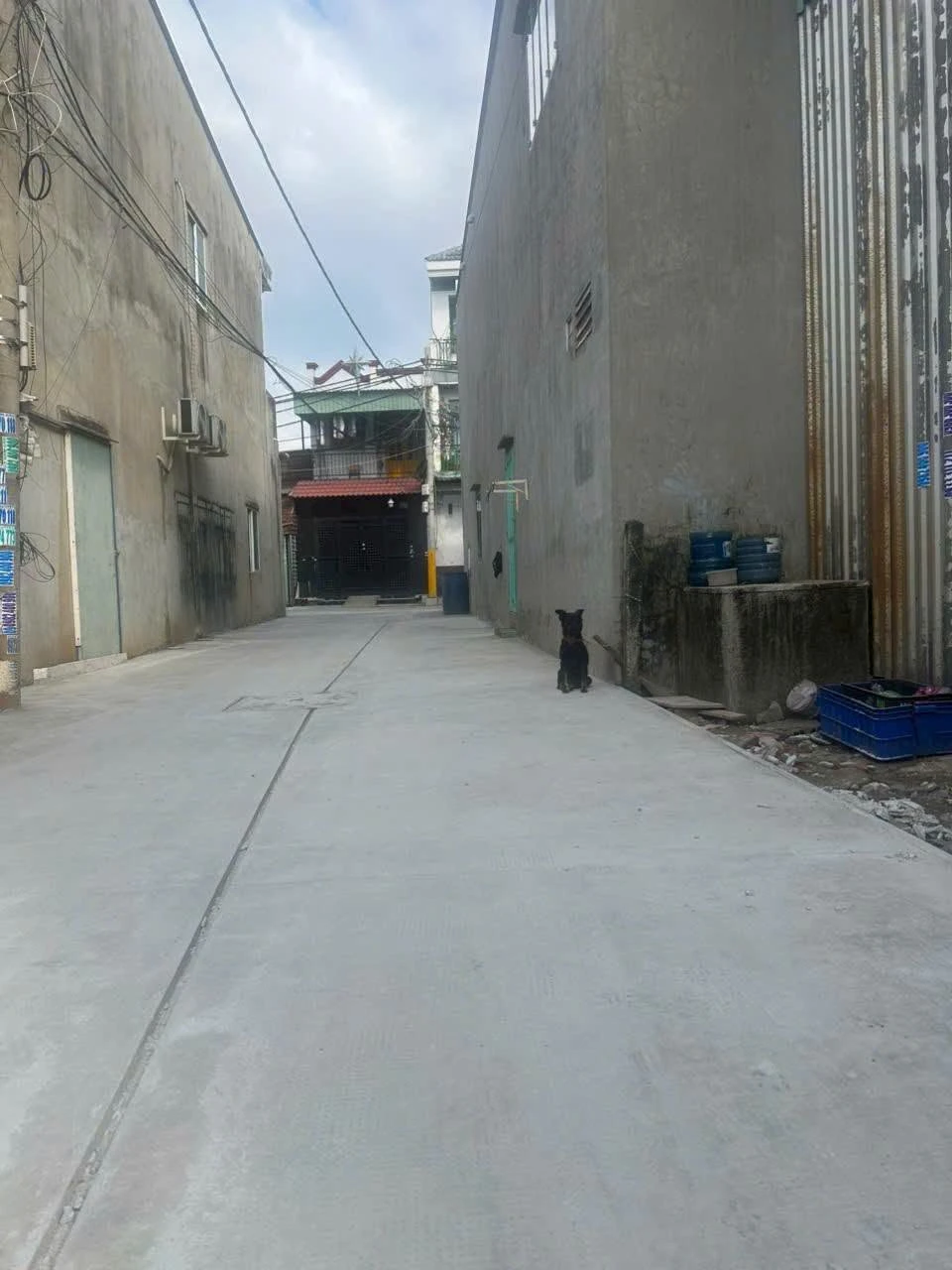 Bán nhà xưởng cấp 4 8x15m Lê Thị Ngay, Vĩnh Lộc A, Bình Chánh giá 2,3 tỷ - Ảnh 1