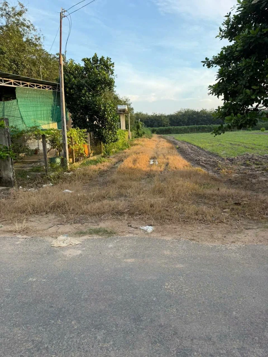 Bán 1 mẫu đất mặt tiền đường nhựa ấp Tân Tiến, xã Tân Phú, Tây Ninh giá 2,2 tỷ - Ảnh thu nhỏ 3