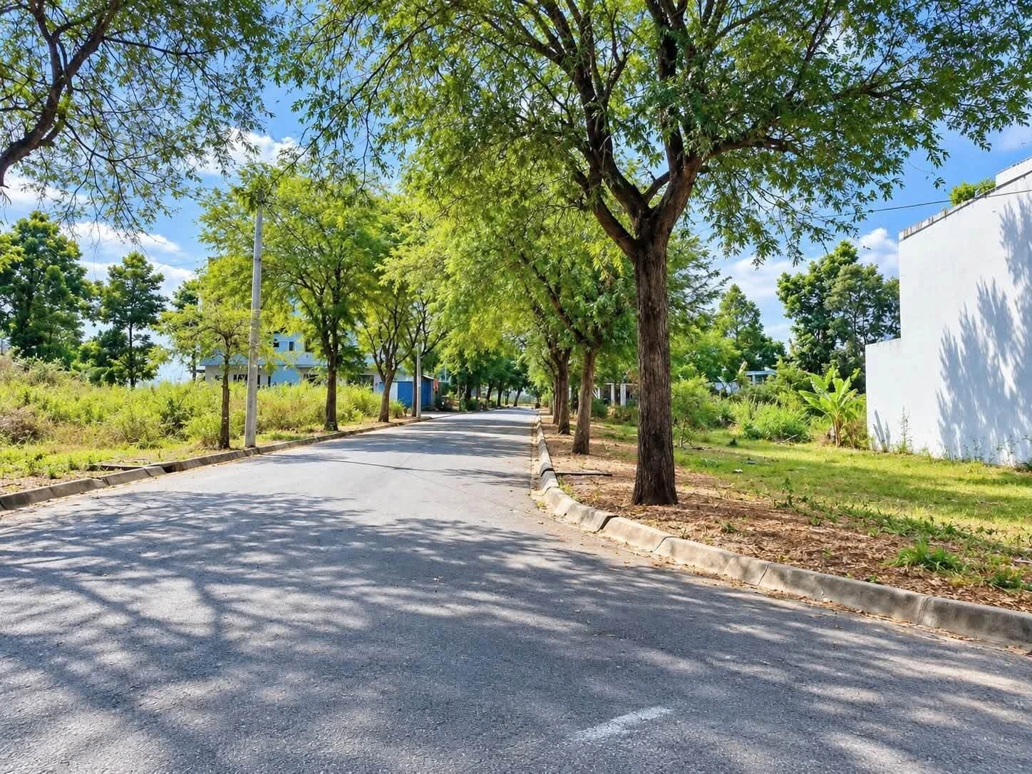 Bán lô đất thổ cư 100m² Long An, Tây Ninh 2,05 tỷ - Ảnh 1