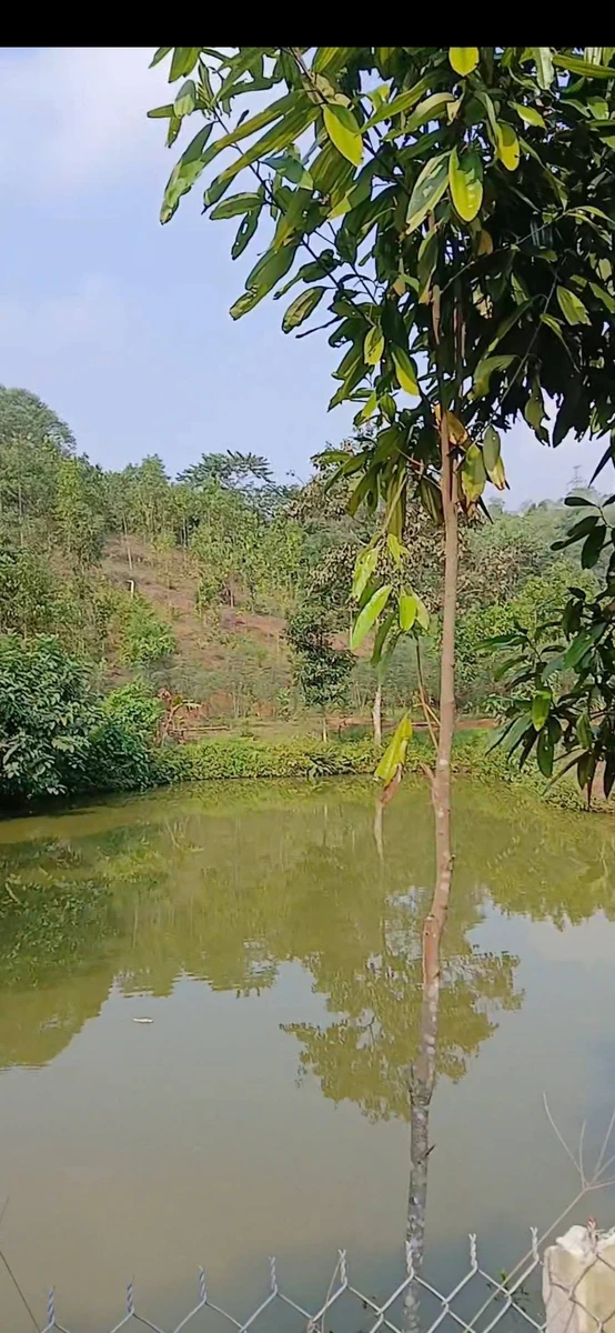 Bán trang trại 1,4 ha Phường Văn Phú, Hóc Môn - Ảnh 1
