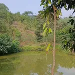 Bán trang trại 1,4 ha Phường Văn Phú, Hóc Môn - Ảnh thu nhỏ 1