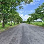 Bán đất thổ cư 7,2x21,5m đường số 4 khu Đồng Tâm Green City, phường Long An, Tây Ninh - Ảnh thu nhỏ 2