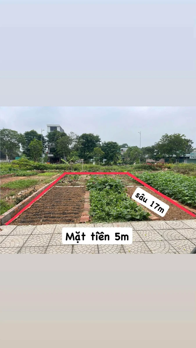 Bán đất nền 85m² mặt tiền 5m khu nhà ở xã hội Minh Phương - Ảnh 1