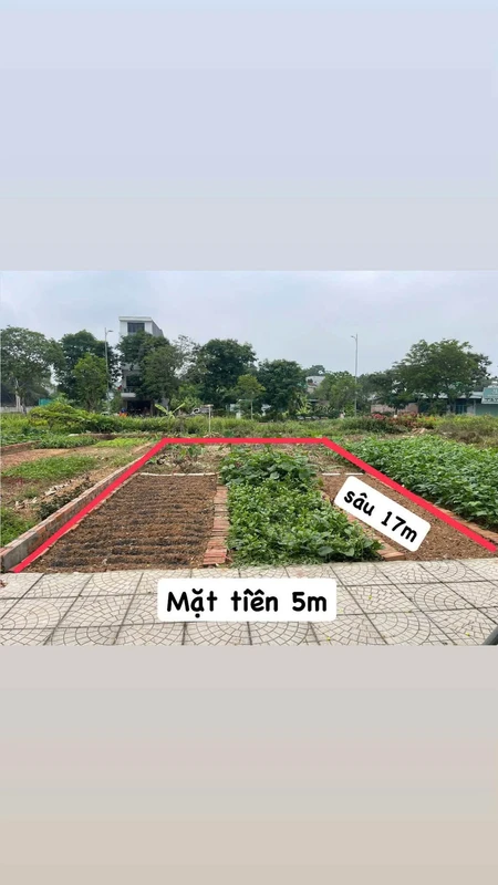 Bán đất nền 85m² mặt tiền 5m khu nhà ở xã hội Minh Phương