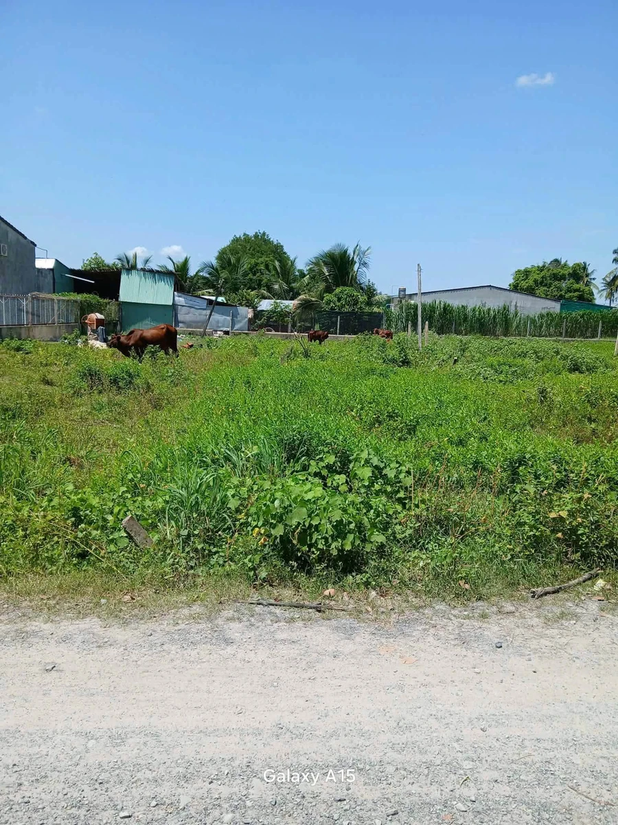 Bán lô đất 5x37m có 50m² thổ cư giá 249 triệu tại Xã Phan, Dương Minh Châu, Tây Ninh - Ảnh thu nhỏ 2