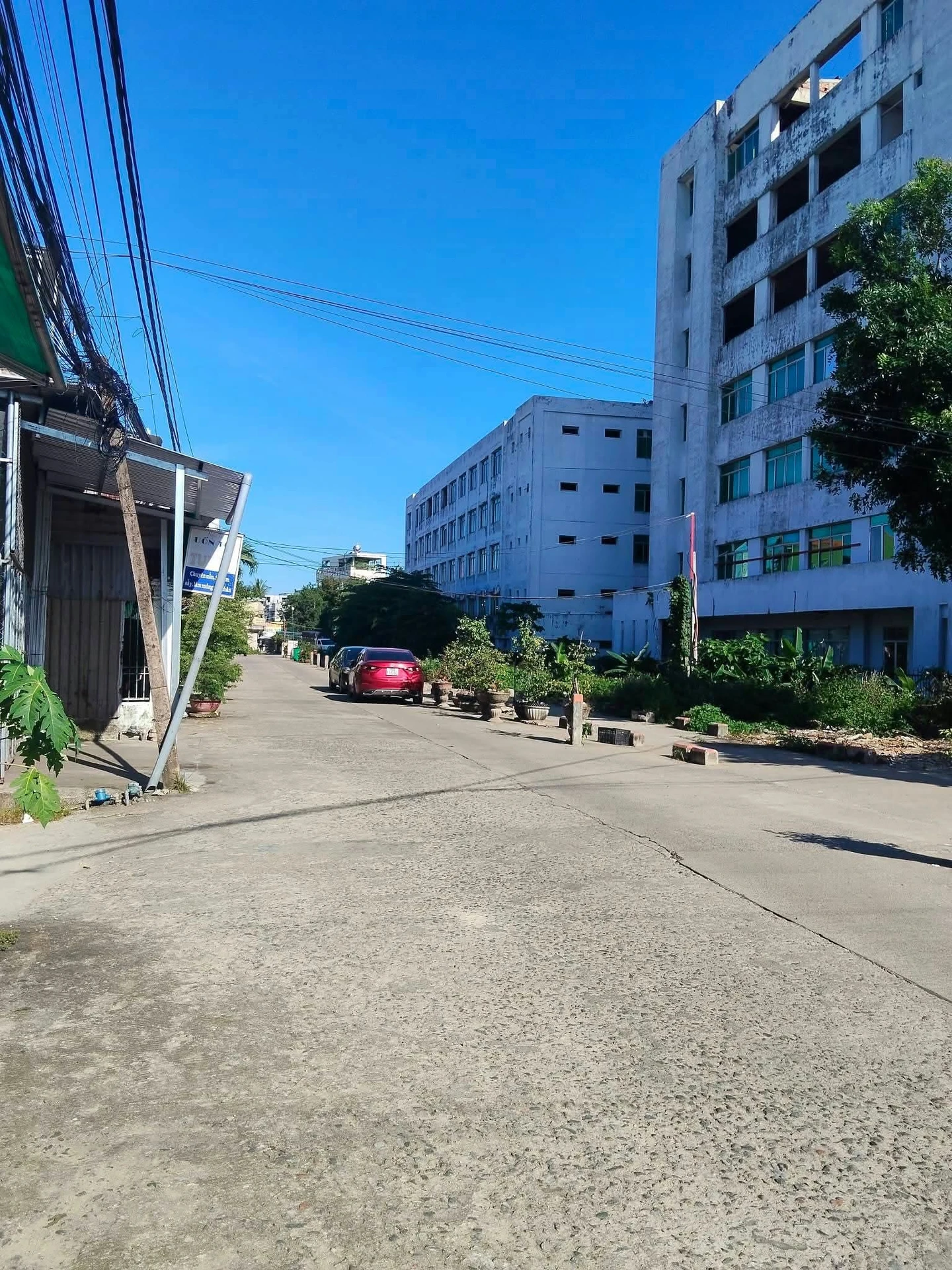 Bán 2 dãy trọ 10 phòng Quang Trung Quận 12, 230m2 - Ảnh 1