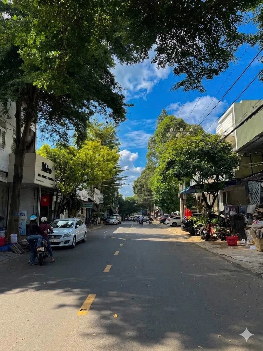 Bán nhà mặt tiền kinh doanh đường Nguyễn Tri Phương, trung tâm Buôn Ma Thuột, 104m2, giá 8,85 tỷ - Ảnh 1