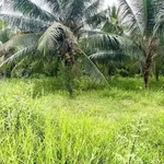 Bán đất Mỏ Cày Nhà Bè 144m² 480 triệu - Ảnh thu nhỏ 2