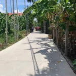 Bán lô đất góc 2 mặt tiền 204m² An Thạnh Thuận An Bình Dương 4.3 tỷ - Ảnh thu nhỏ 4
