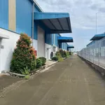 Chuyển nhượng nhà xưởng 8.300m² KCN Đồng Nai - Ảnh thu nhỏ 1