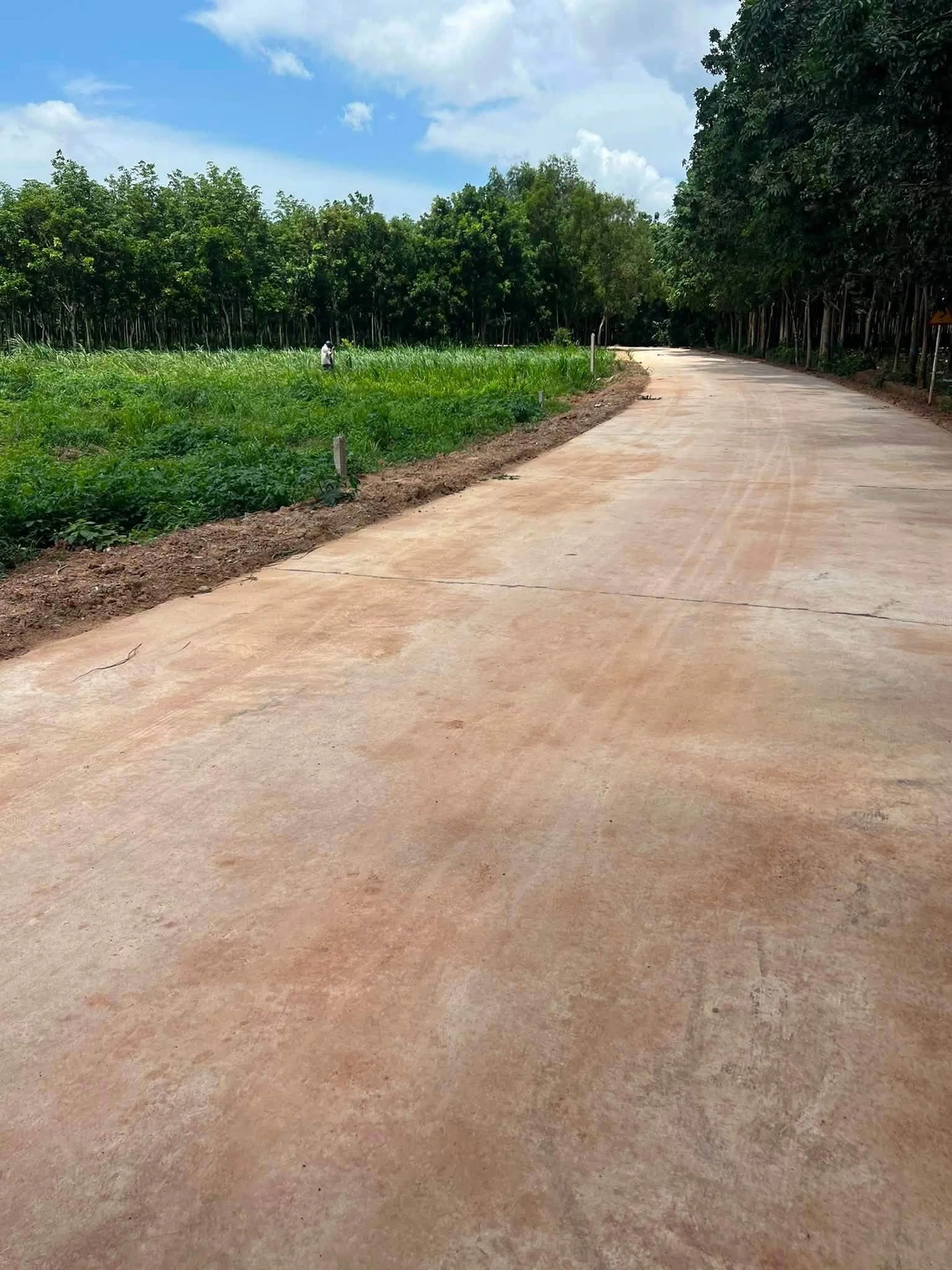Bán đất Bình Mỹ 1152m² giá 2 tỷ - Ảnh 1