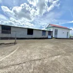 Bán cây xăng Ninh Gia, Đức Trọng 2.383m² - 6,5 tỷ - Ảnh thu nhỏ 1
