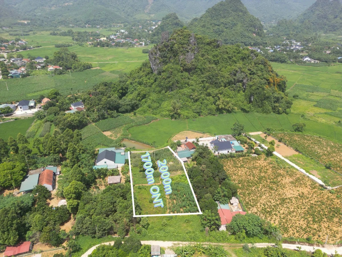 Bán đất xưởng 2000m² Cao Dương, Hà Nội giá 3 tỷ - Ảnh thu nhỏ 2