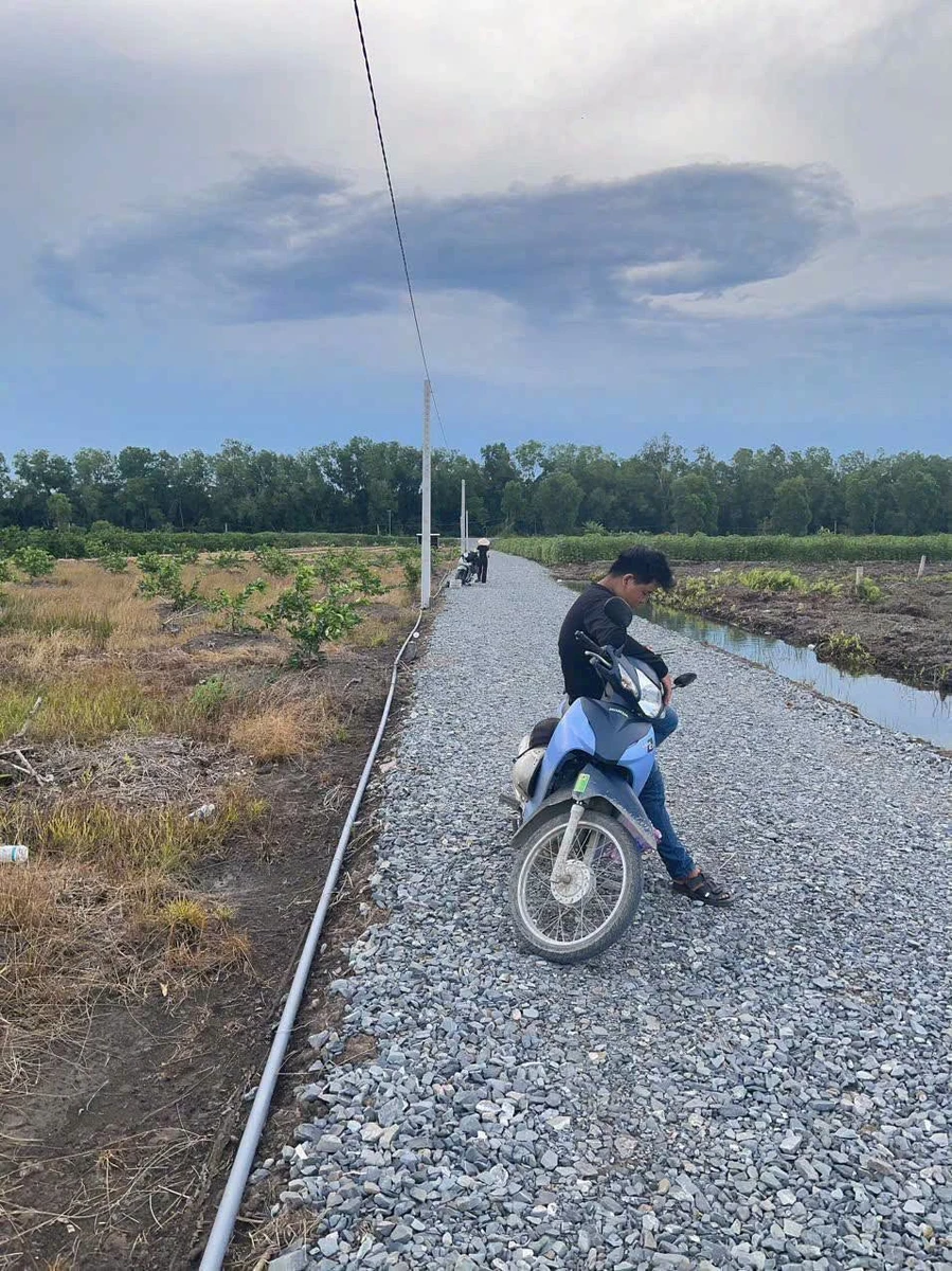 Bán 1000m² đất vườn Tân Thành Thủ Thừa Long An - Ảnh 1