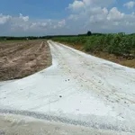 Bán đất công Xóm Mới 2 1000m2 Châu Thành Tây Ninh - Ảnh thu nhỏ 3