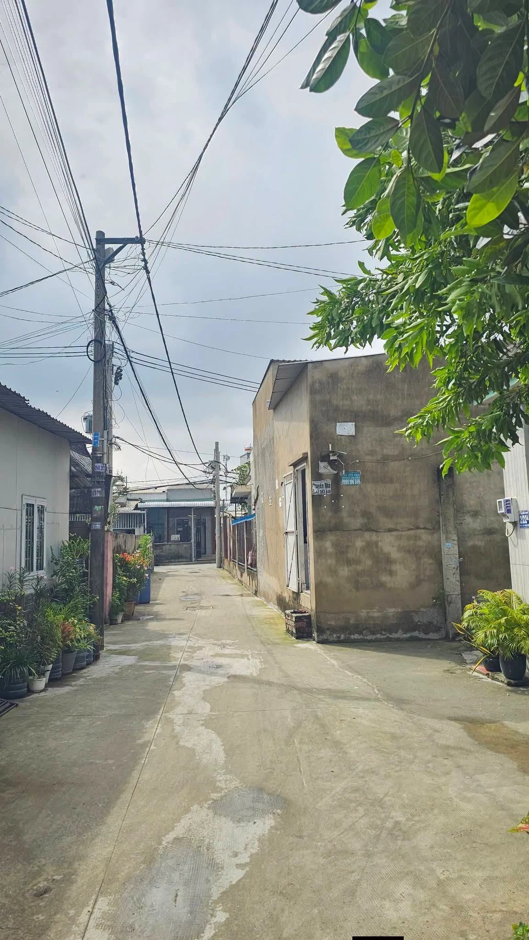 Bán đất thổ cư 141m2 nở hậu, ô tô tới đất, gần chợ Đông Thạnh, Hóc Môn - Ảnh 1