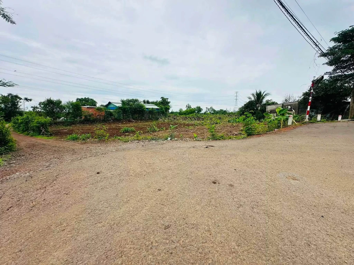 Bán đất 1600m² Sông Thao Trảng Bom 2 tỷ 490 triệu - Ảnh thu nhỏ 3