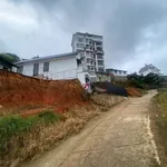 Bán nhà gỗ view đẹp 455m2 Đà Lạt - Ảnh thu nhỏ 4