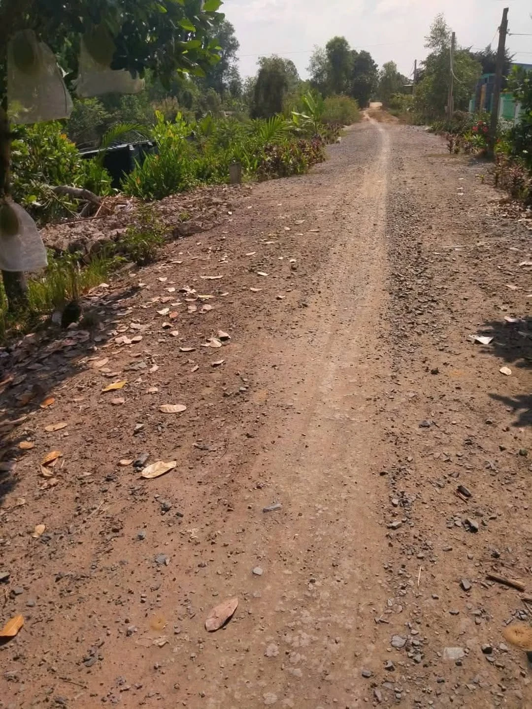 Bán đất 6.000m² view sông Tân Phước, Đồng Tháp 1 tỷ 700 triệu - Ảnh 1