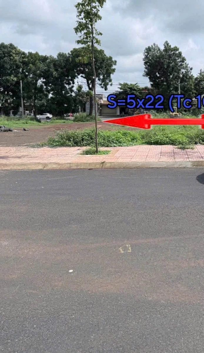 Bán lô đất 110 m² gần chợ đầu mối Tân Hòa, Bình Chánh - Ảnh 1