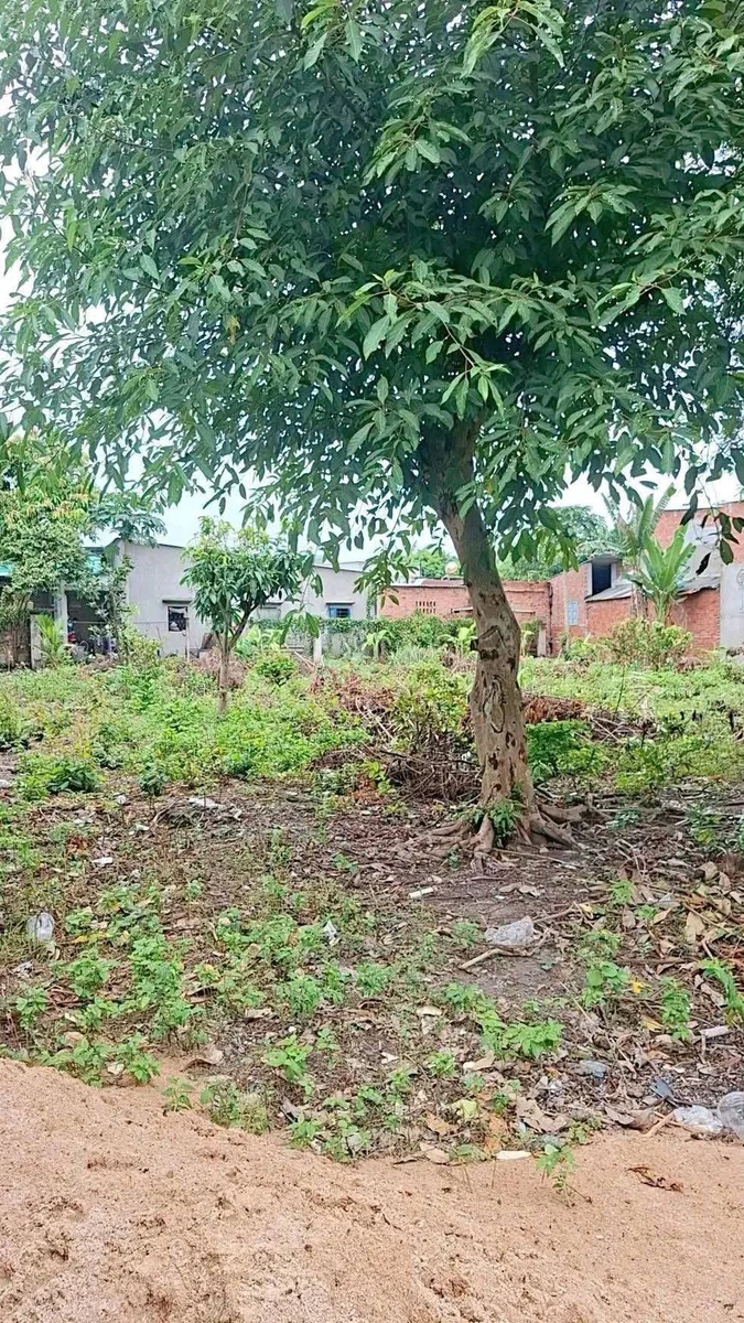 Bán đất mặt tiền 53m, 581m² gần chợ An Ngãi, Long Điền - Ảnh 1