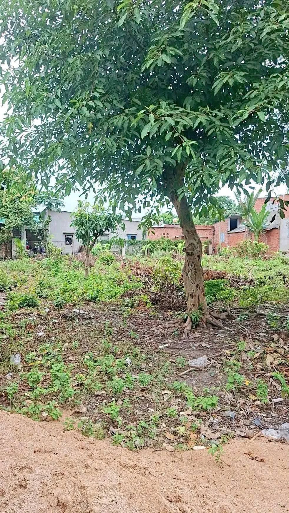 Bán đất mặt tiền 53m, 581m² gần chợ An Ngãi, Long Điền - Ảnh 1