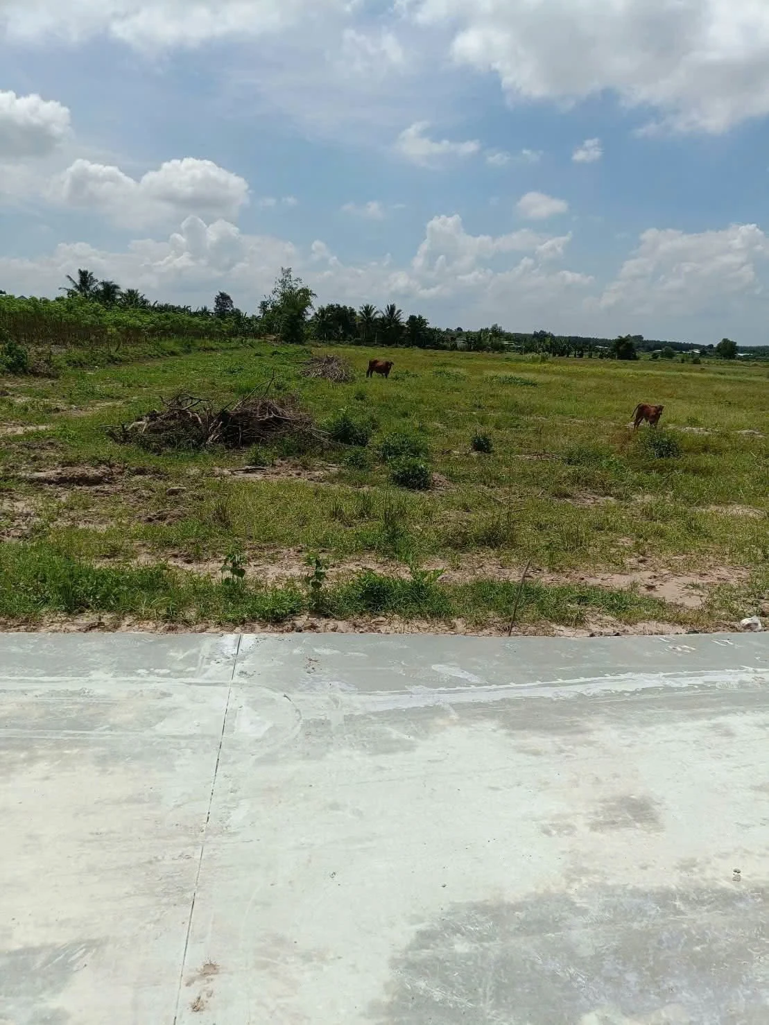 Bán đất công Xóm Mới 2 1000m2 Châu Thành Tây Ninh - Ảnh 1