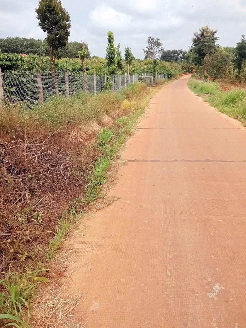 Bán đất nông nghiệp 1 hecta km65 Đắk Lắk 3,75 tỷ - Ảnh thu nhỏ 4