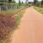 Bán đất nông nghiệp 1 hecta km65 Đắk Lắk 3,75 tỷ - Ảnh thu nhỏ 4