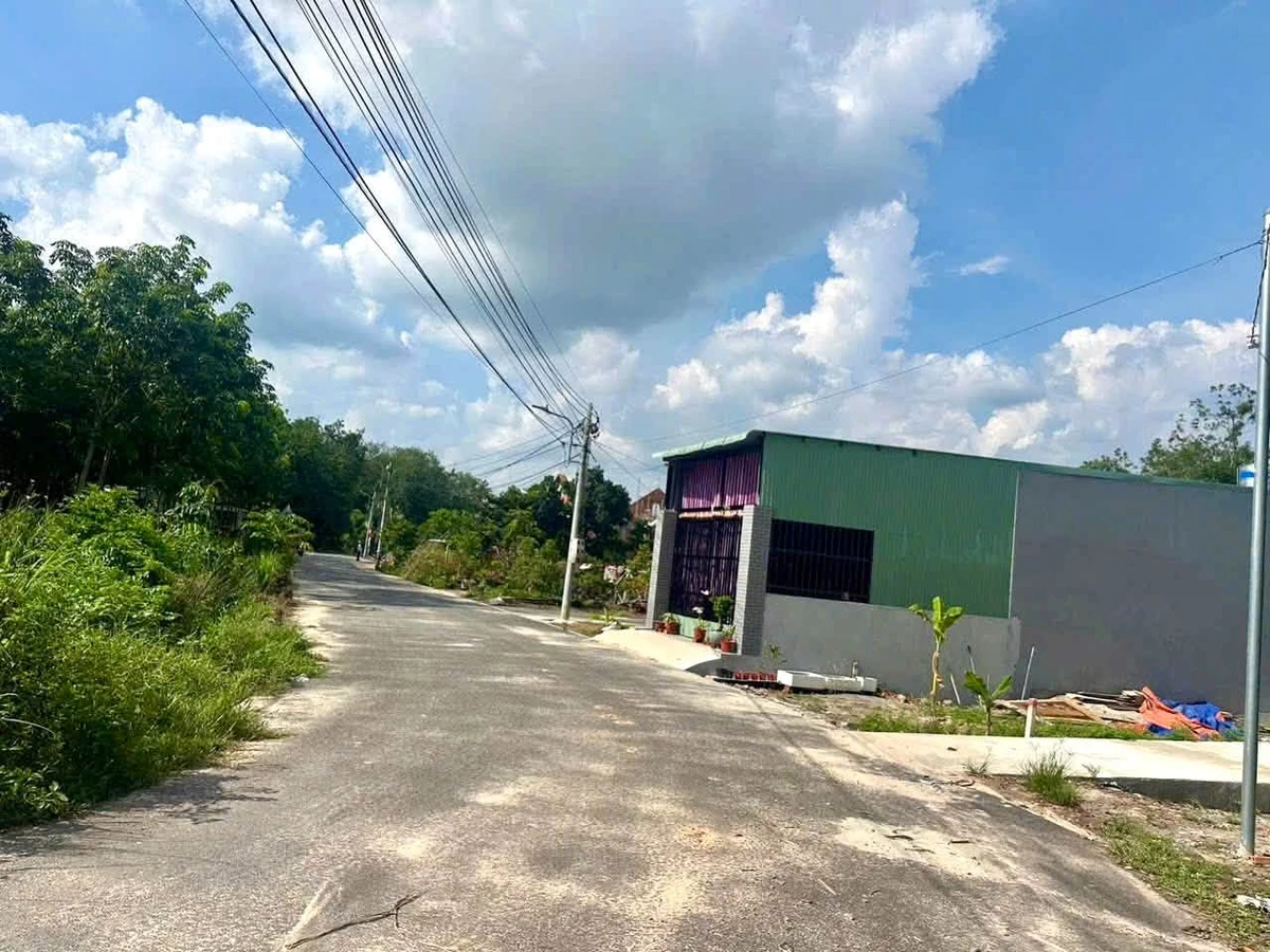 Bán đất Hòa Lợi 1.208 m², Bình Chánh, 3.7 tỷ - Ảnh thu nhỏ 3