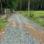 Bán đất Xã Phan 50m² giá 550 triệu - Ảnh thu nhỏ 4