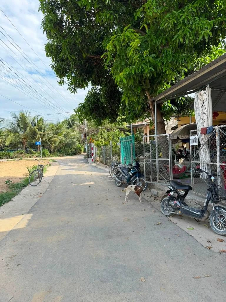 Bán đất mặt tiền Diên Phú 70m², giá 620 triệu - Ảnh thu nhỏ 2