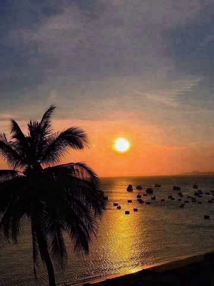 Bán đất 278m2 view biển Mũi Né, Phan Thiết 2.5 tỷ - Ảnh thu nhỏ 5